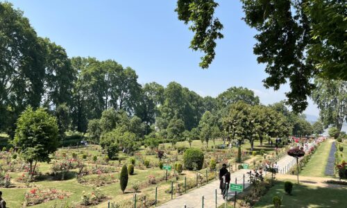 Nishat Bag - Srinagar